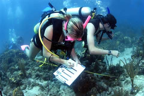 Marine Biologist get many benefits, they get to work with animals